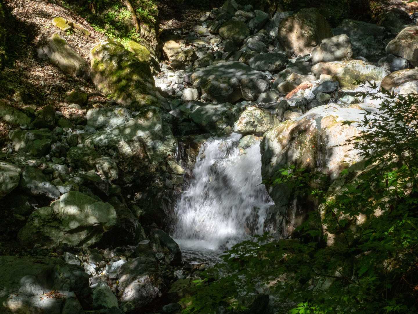 少し沢の流れがいい感じになってきました。
