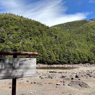 亀甲池💧