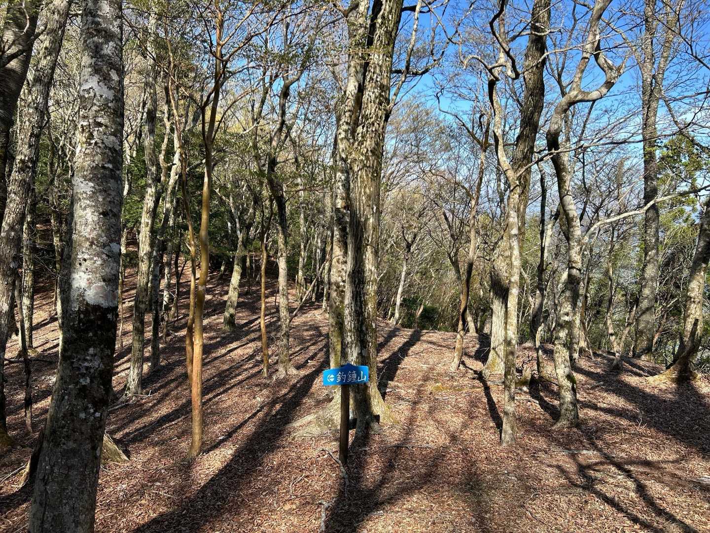 今日はきちんと登山道歩きます