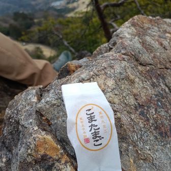 お土産もらった🥚