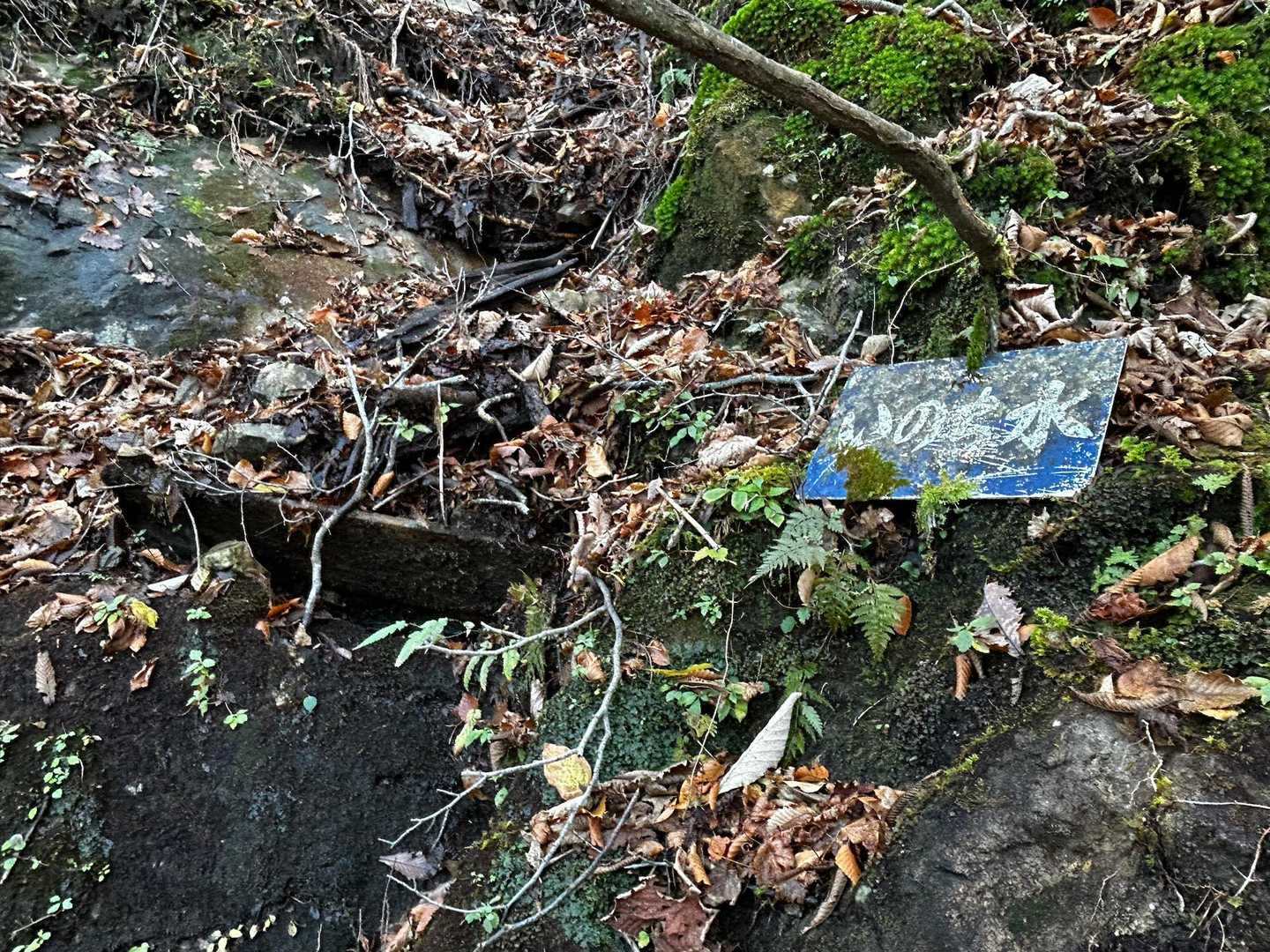 水場のようです
が
雫がポタポタと落ちている程度でした