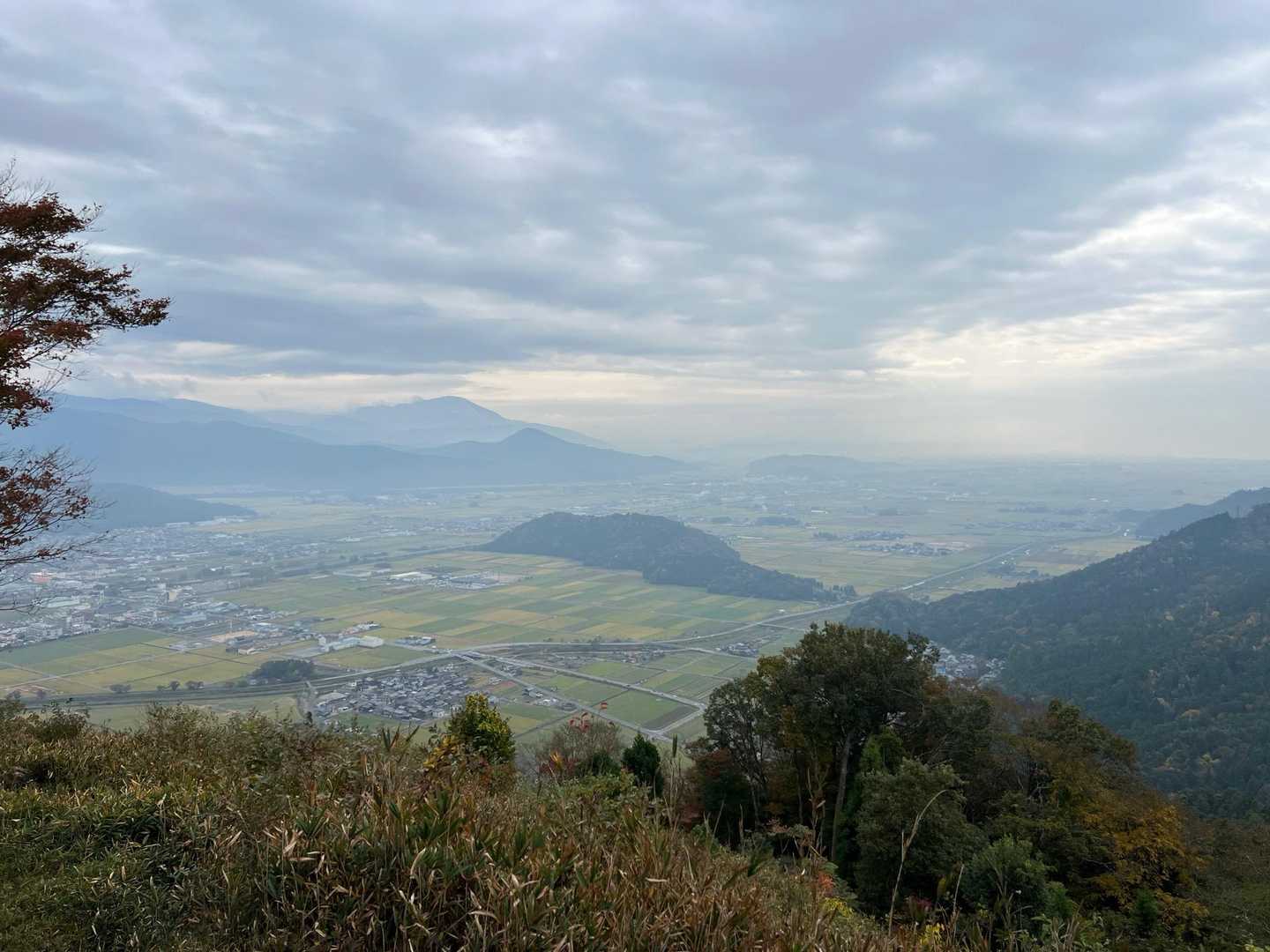 赤坂山のときに見たメタセコイア並木の風景に似てる。