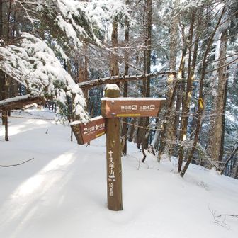 十文字山へ寄り道、次回は十文字小屋にテント泊して三国山まで往復したい