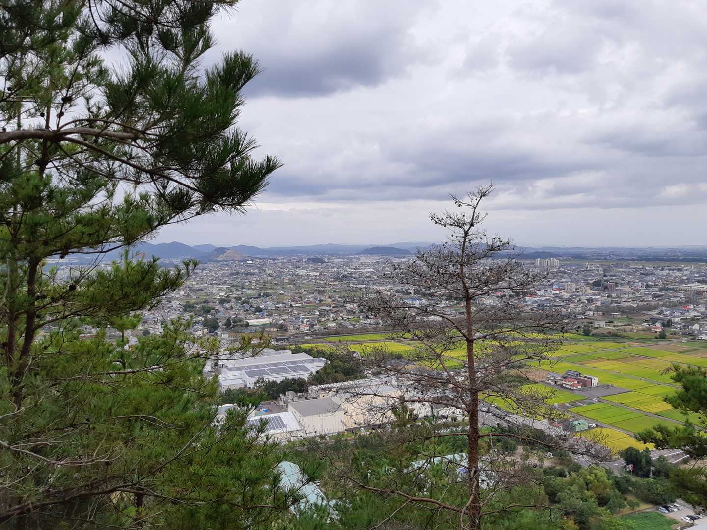 ここも