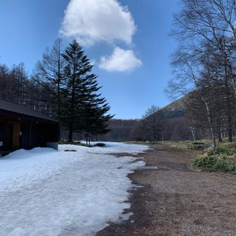 春はすぐそこですね