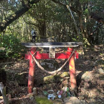 🙌稲尾神社⛩️ 
YAMAPの山頂はもう少し先です