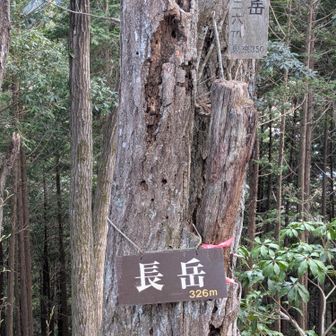 ここまで来ればあと少し！