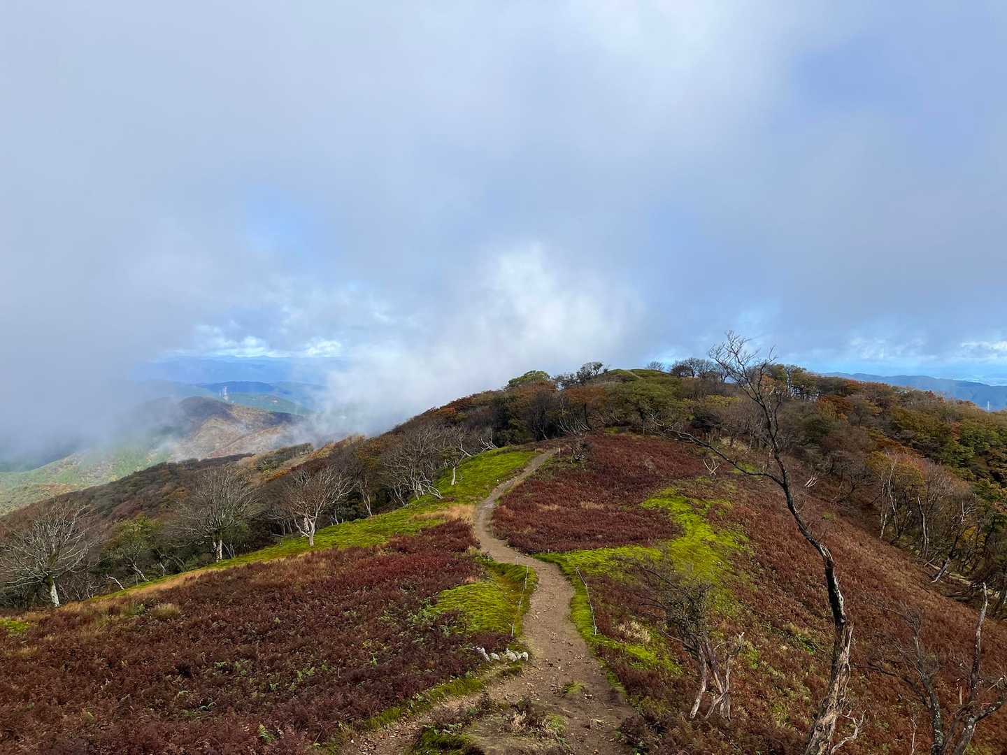 御池岳・鈴北岳周回 | シマリスに出会える鈴鹿最高峰のカルスト台地の写真