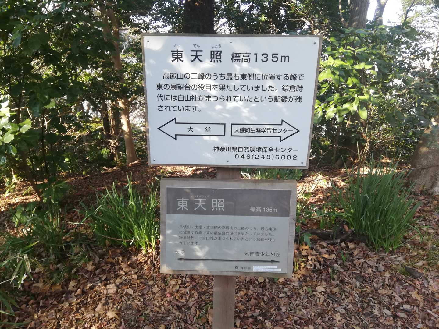 東天照⛰️登頂🎉🎊🎉