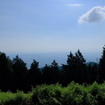 かなり霞んでます💦
山の影がうっすら見える。
で、めっちゃ光って見えるのは、たぶんソーラーパネルなんだろうなあ、、