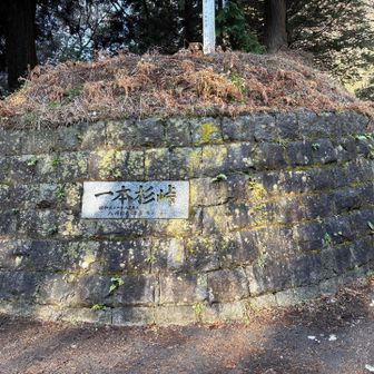 一本杉峠

5座目　丸山は巻きました