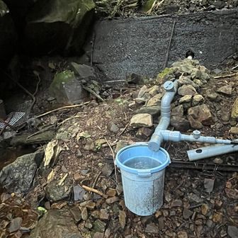 チロチロと流れてる水場ありました