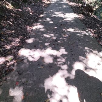 入り口フェンスを開けるとコンクリート舗装路を少し歩きます
