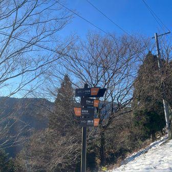 素晴らしい青空🩵