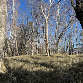 いい感じの場所ですね😊