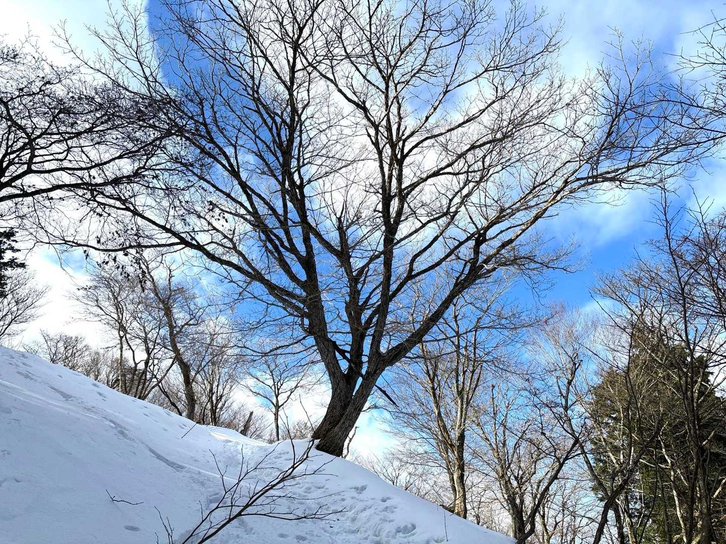 青空が青い