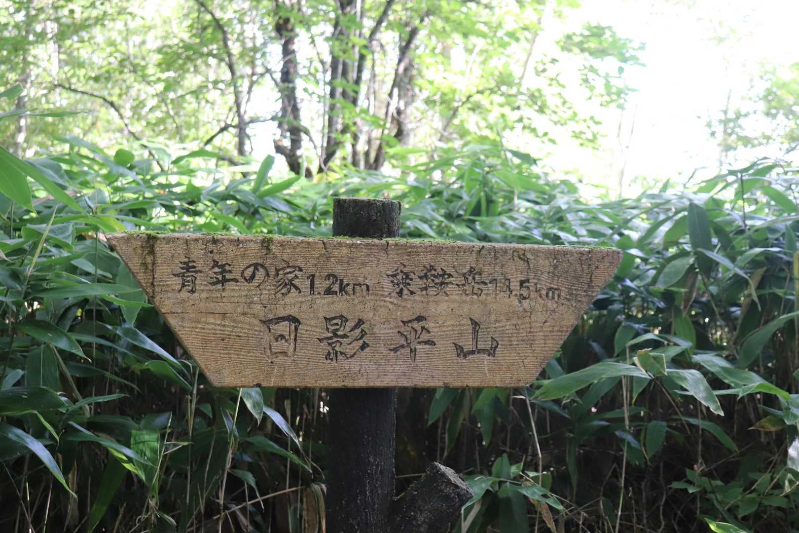 まずは日影平山ゲット👍