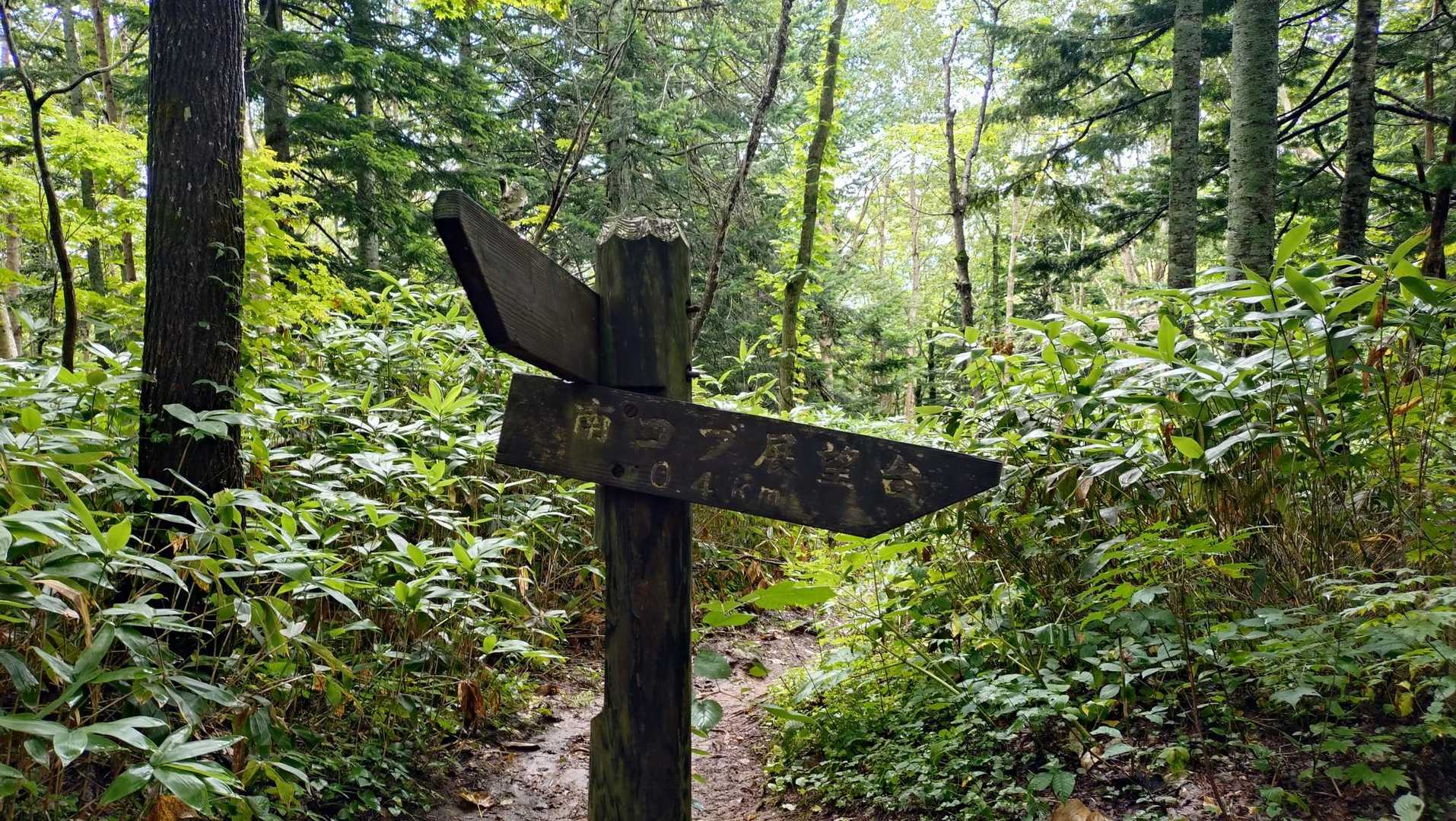 下りで見るのはこの標識。過去２回とも、力尽きて行けませんでした。