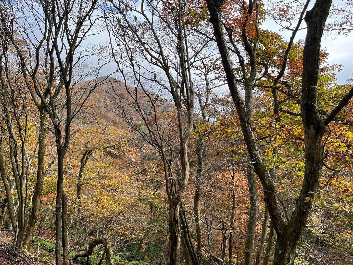 なんだか周りは紅葉🍁祭り😃