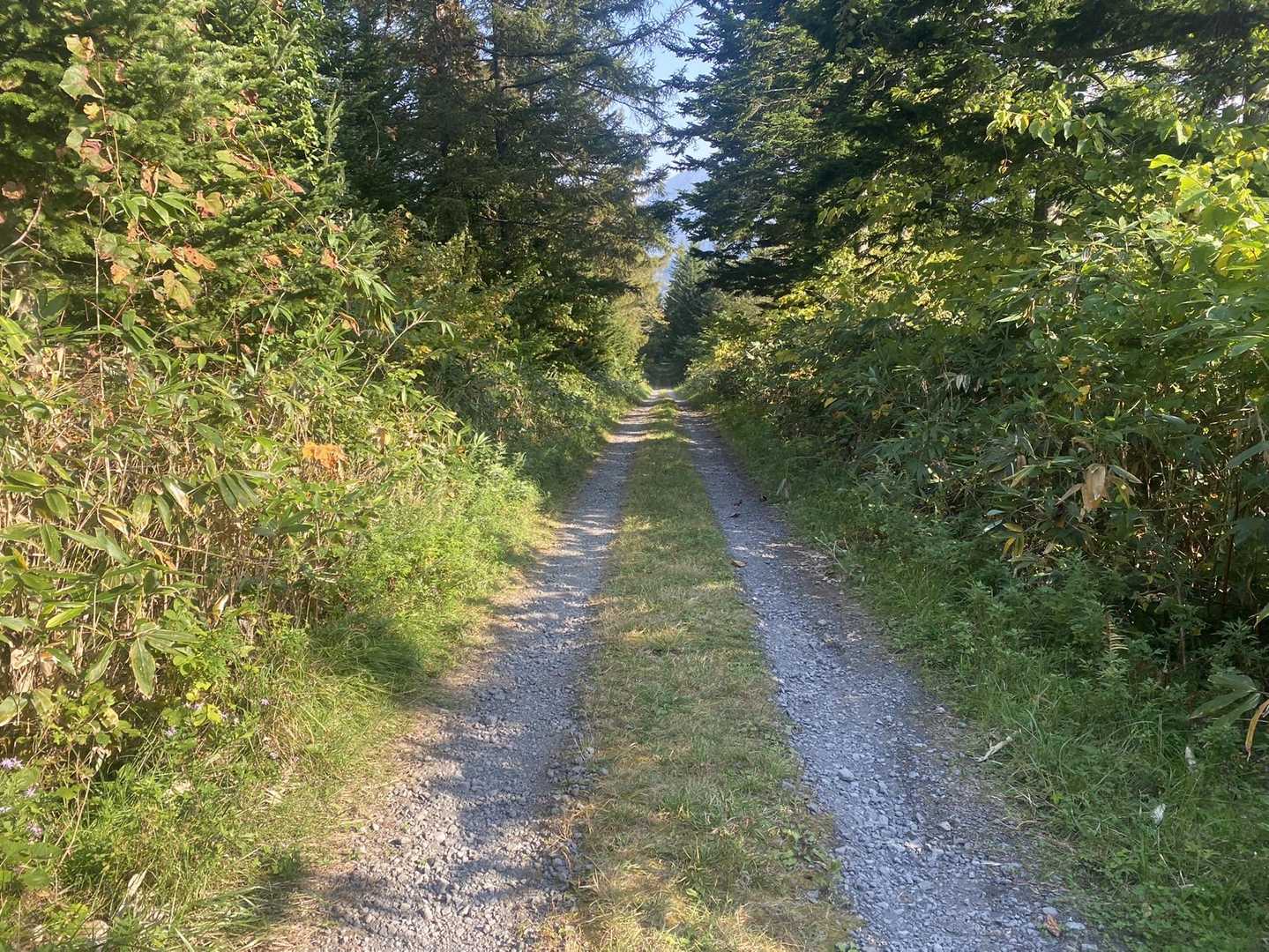 喜茂別登山口-羊蹄山 往復コースの写真