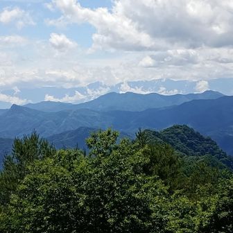 さっきより雲取れて北アがうっすら
しかしどこかがよく分からず😇