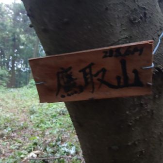 鷹取山山頂　三角点がある