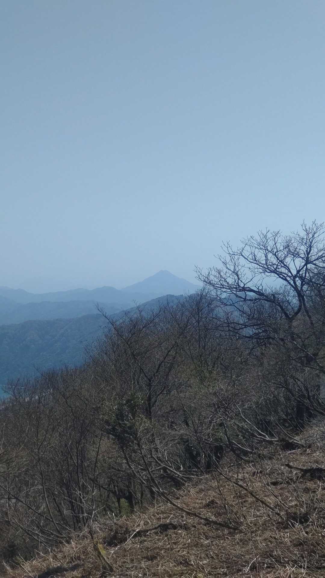 真ん中の三角のお山が青葉山