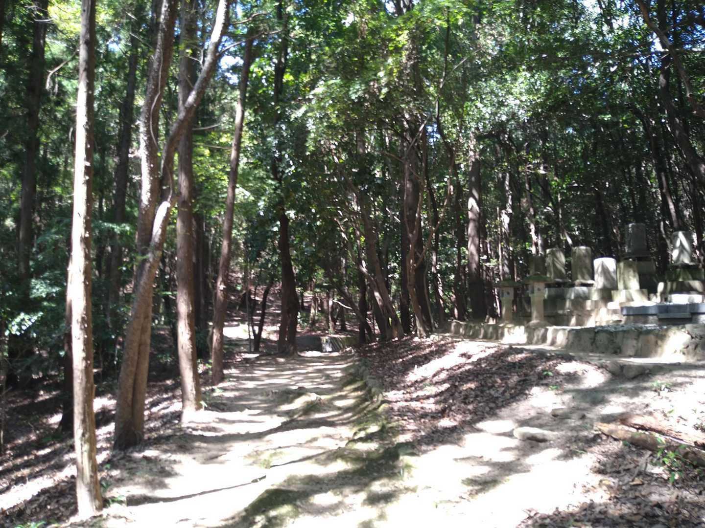 やっと日陰
木陰は涼しい🎶