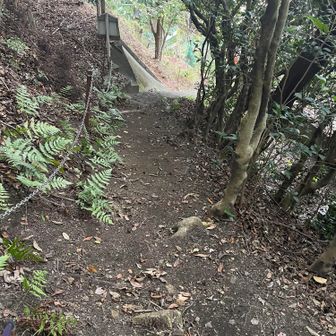 途中　日が暮れると　帰れなくなるので　大急ぎで歩き　反対側の登山口に着きました。