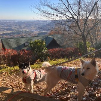 ユーザーかなり