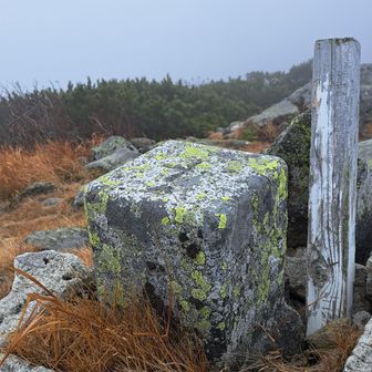 一等三角点  点名も芽室岳