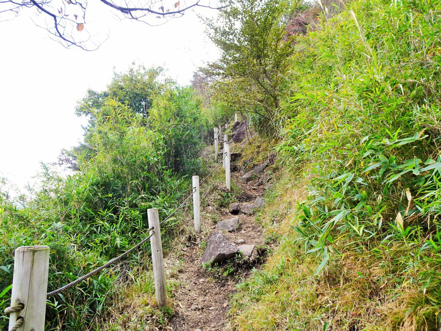 鍋割山登山口-鍋割山 往復コースの写真