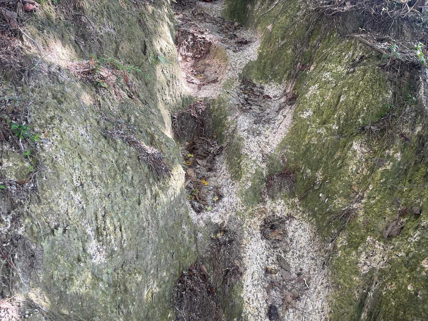 ここから段差がすごくて膝疲れた💦