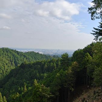 草戸山は伐採されて景色良くなり風も通るようになって気持ちいい😊