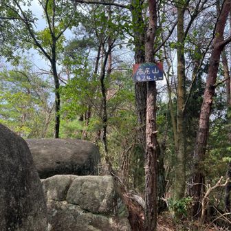 さりげなく高尾山山頂。
うっかり通り過ぎてて、引き返した。