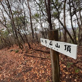 前回
このプレート見損ない。
今回はきっちり。