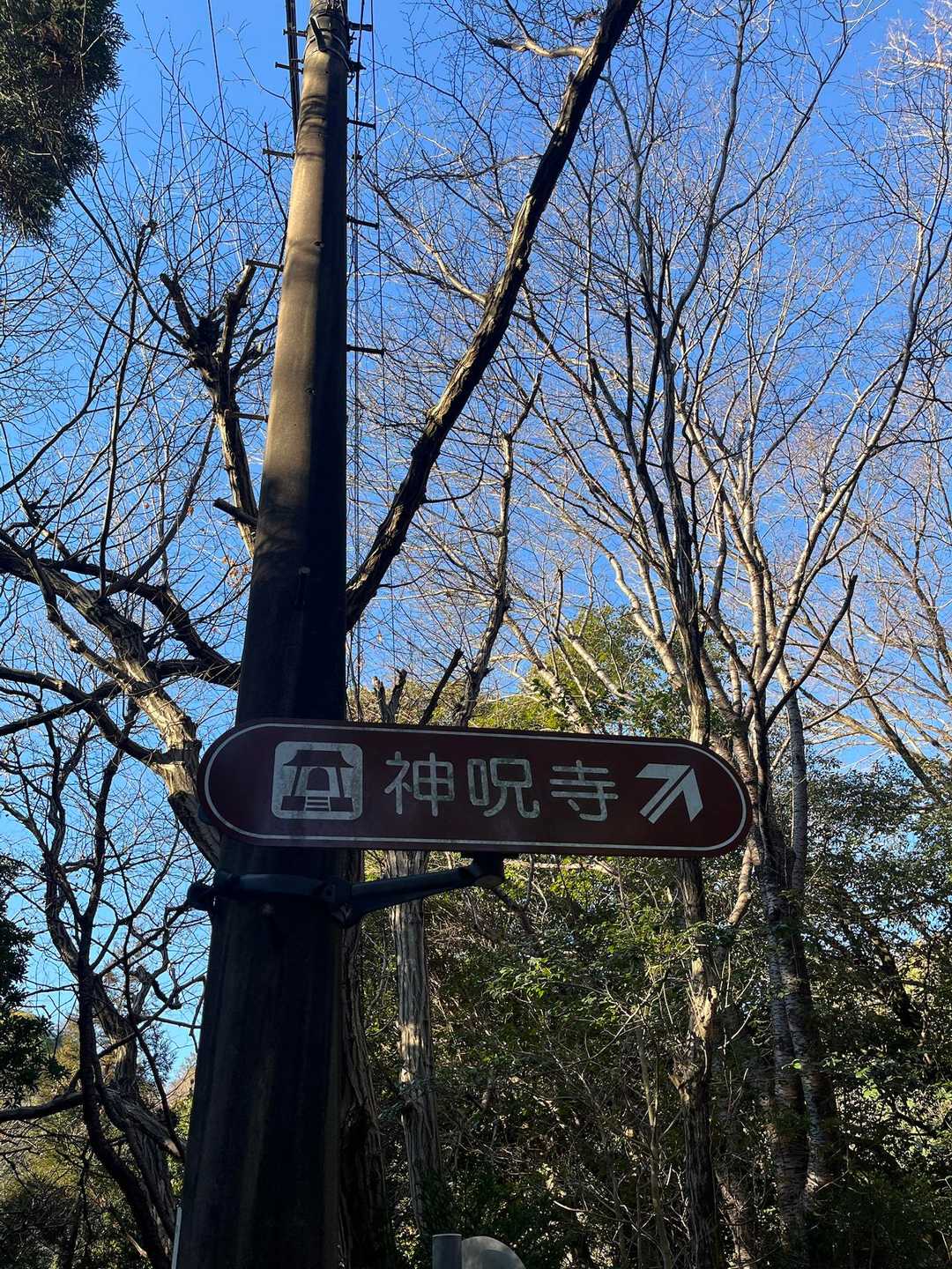甲山-神呪寺 周回コースの写真