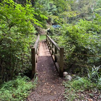 元気出てきたのでロードはなるべくジョグります🏃‍♀️