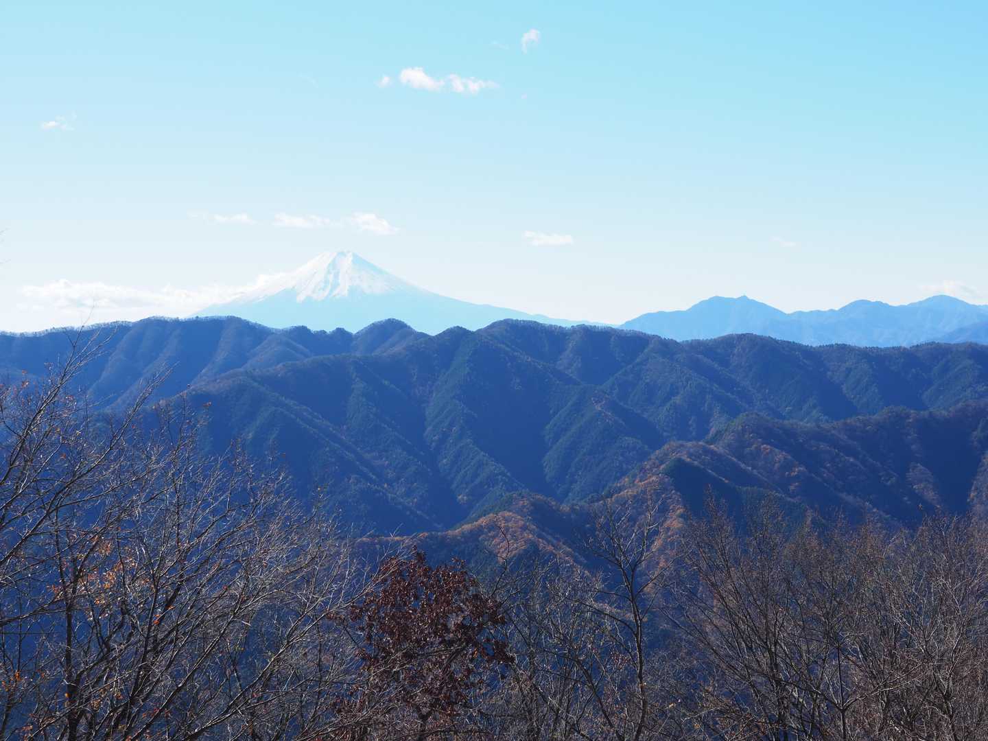 浅間尾根登山口バス停-大羽根山-数馬峠-田和峠-西原峠-槇 縦走コースの写真