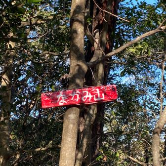 可愛くなってる