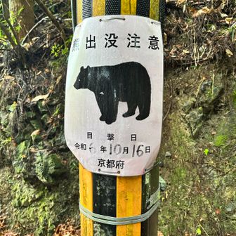 熊情報その2🐻