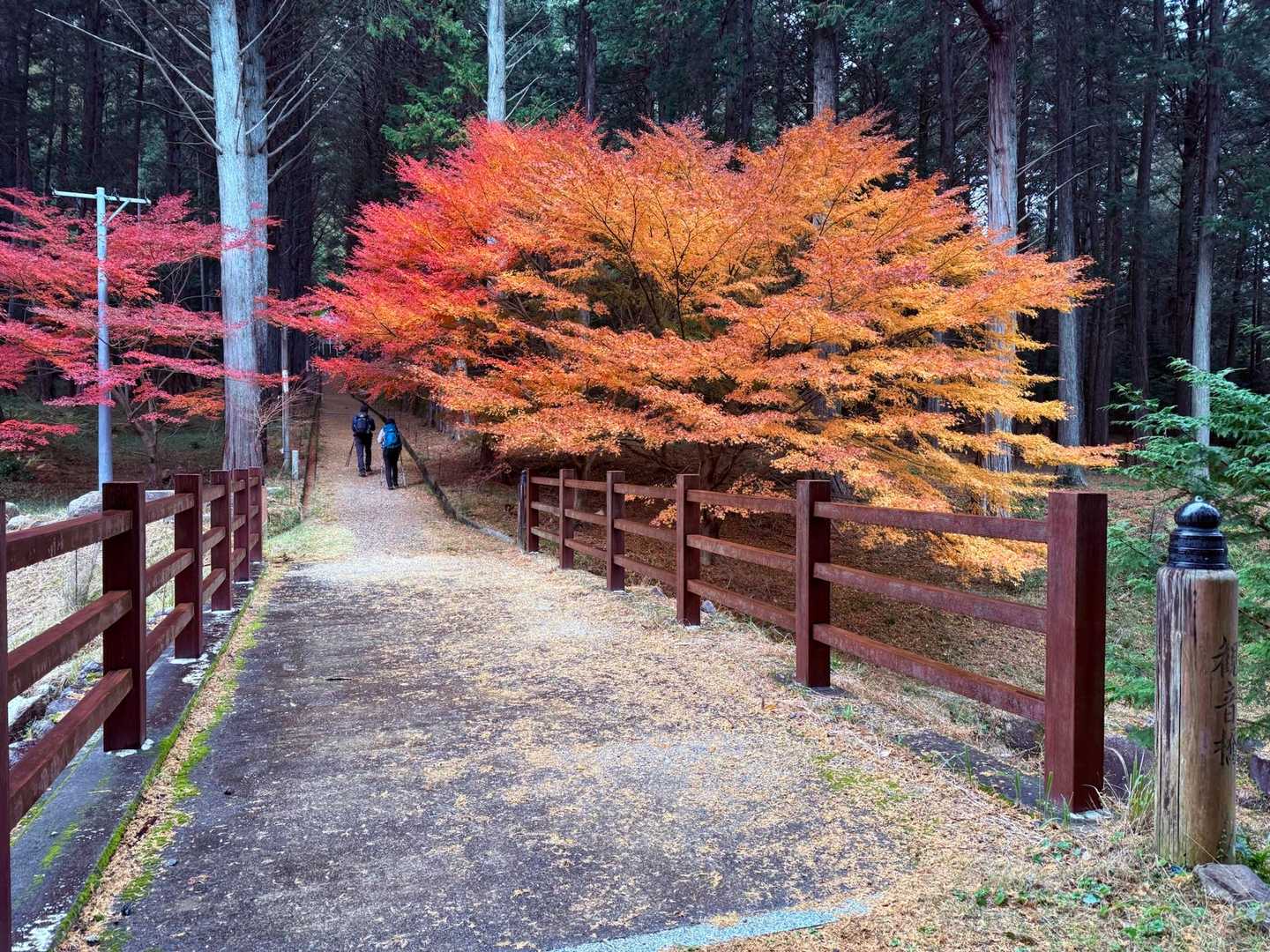 尾高観音-尾高山 周回コースの写真