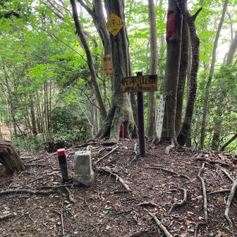 折平山山頂　628.4m三角点
見晴らし無し、休憩しました。