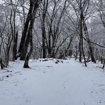 ハマイバ丸に到着。