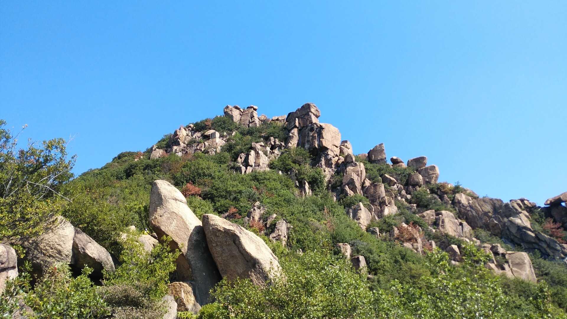 新割山（王子が岳）の写真
