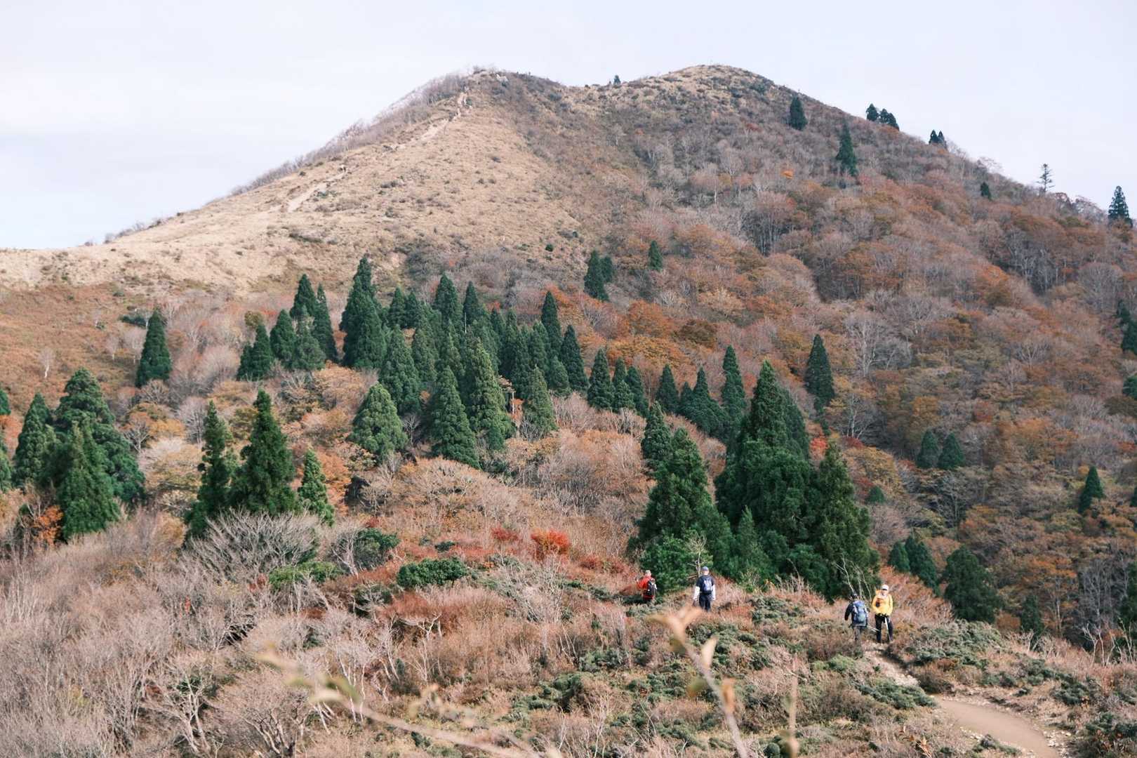 西南稜コース | 比良最高峰・武奈ヶ岳。美しいブナの森から琵琶湖の絶景パノラマへの写真