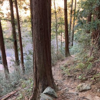 道路が見えて無事に下山