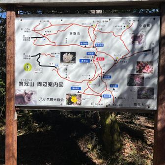箕冠山山頂は眺望なし。