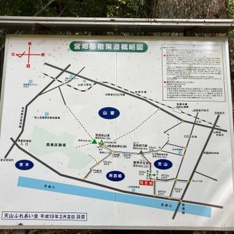里に降りてきました
