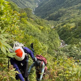 沢が遠くに